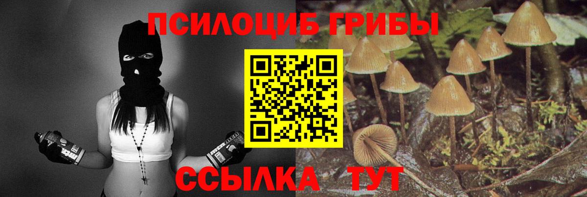 Галлюциногенные грибы Cubensis Бийск
